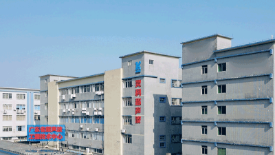 靈科超聲波：共舞職場(chǎng)新生態(tài)，賦能員工價(jià)值成長(zhǎng)